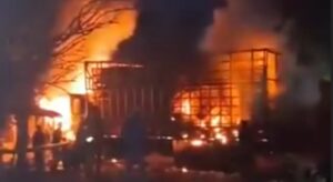 Cientos de pollos quedaron en cenizas