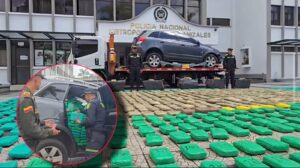 Autoridades Incautaron cerca de una tonelada de marihuana en Manizales