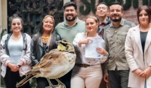 Concejo aprueba por primera vez un acuerdo para proteger una especie y su ecosistema