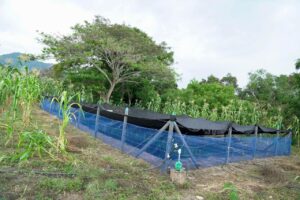 Ante la amenaza de un fenómeno de El Niño, la CAR ya construyó 1.000 reservorios para asegurar agua en zonas rurales