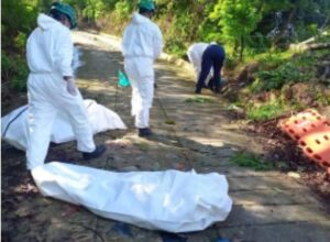 Identifican a dos ingenieros agrónomos hallados muertos en Calarcá