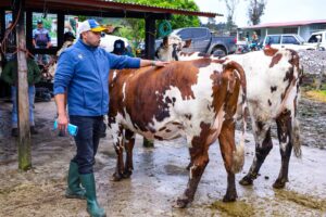 Más de 50 ganaderos participaron en jornada de innovación y tecnología agropecuaria en Gutiérrez