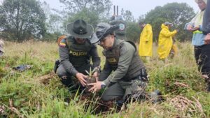 Policía Nacional lidera jornada de siembra de frailejones en Soacha