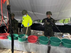 Duro golpe a la economía del ELN en el departamento del Cesar
