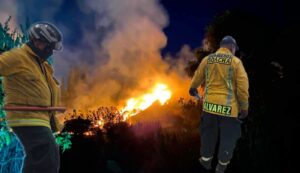 Fuerte incendio consumió aproximadamente tres hectáreas de zona vegetal en Maiporé