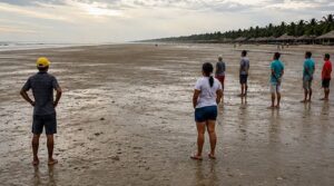 ¿Que pasó con las playas de Coveñas?