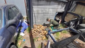 Ocho cachorros fueron rescatados por la policía ambiental en el sector de Terreros