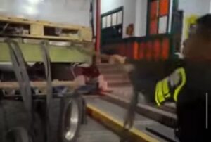 Autoridades incautan 710 kilos de cocaína que eran transportados en un tractocamión