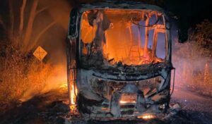 Bus de la empresa Cointrasur fue incinerado en la vía Atacó – Planadas